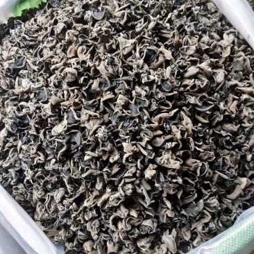东北木耳、大茘黄花菜