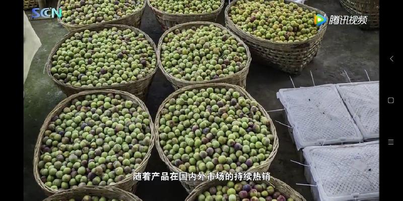 屏山茵红李屏山茵红李品味高端品质水果，畅享美味健康生活，