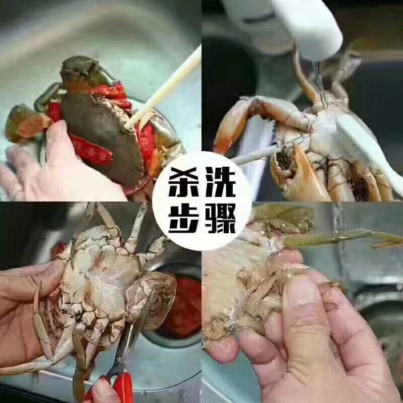 三门青蟹之乡，需要的微我，全国各地可以快递，
