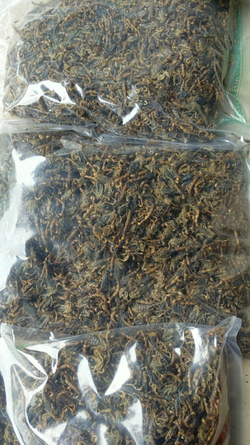 振兴药材批发供应全蝎规格齐全产地直供一手货源全国发货
