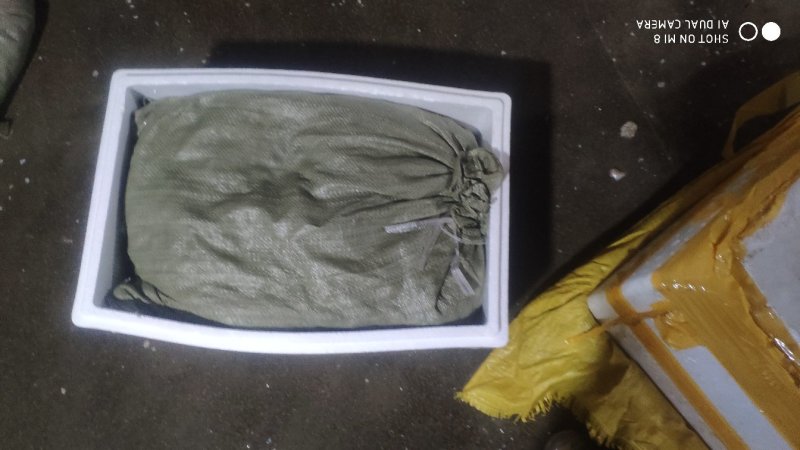 无沙花甲