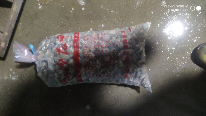 无沙花甲