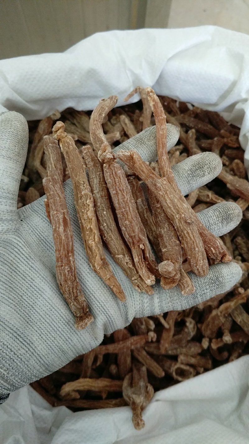 低糖红参个振兴药材批发供应低糖红参个量大从优