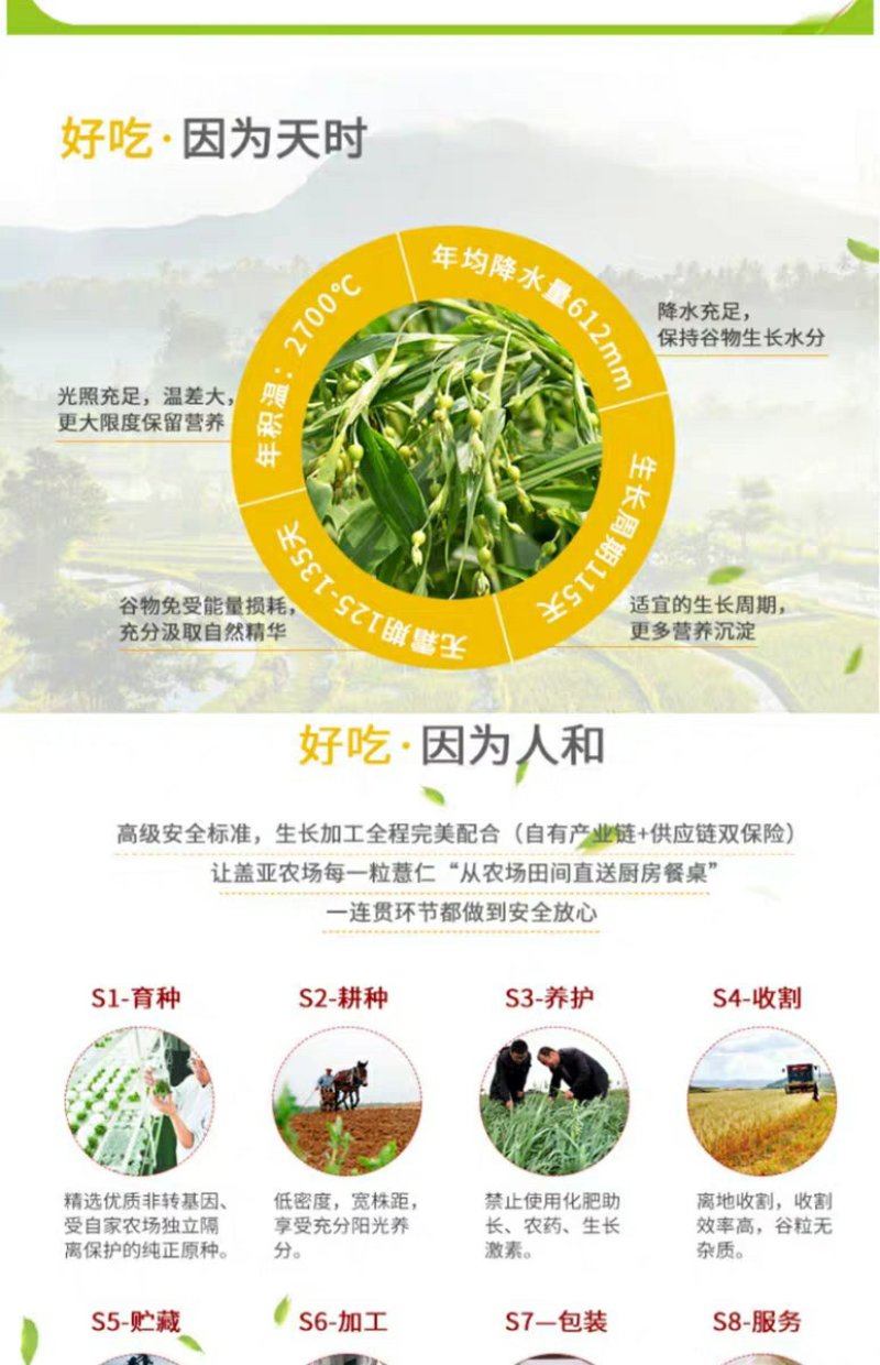 贵州兴仁特产新鲜小薏米小白壳小薏米仁新货薏米450g非大