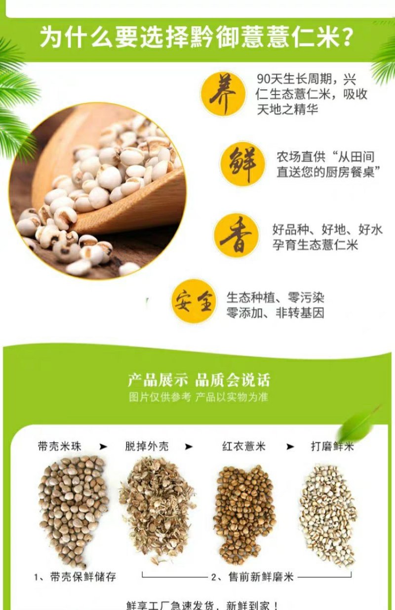 贵州兴仁特产新鲜小薏米小白壳小薏米仁新货薏米450g非大