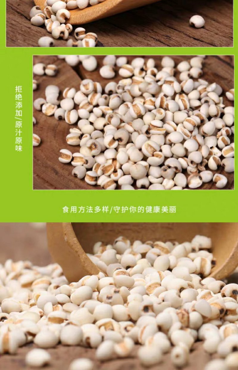 贵州兴仁特产新鲜小薏米小白壳小薏米仁新货薏米450g非大