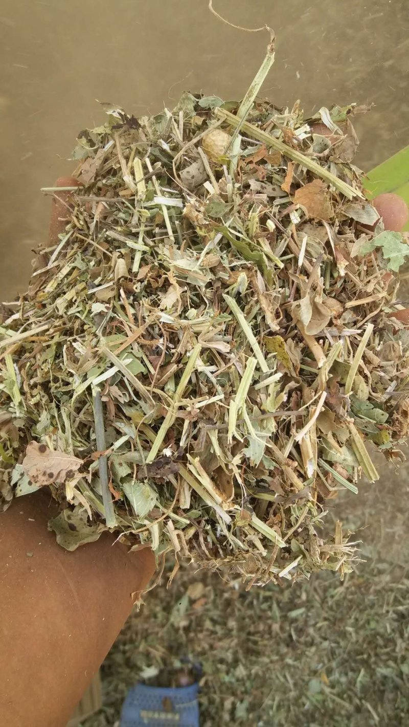 花生秧牛羊草，1-3公分袋装，压块。质量保证