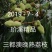 三都澳晚熟荔玠溪精品状元红