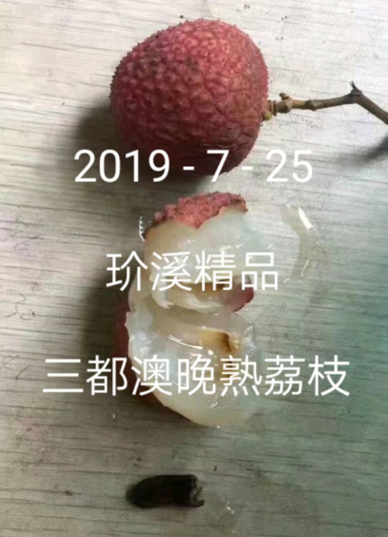 三都澳晚熟荔玠溪精品状元红