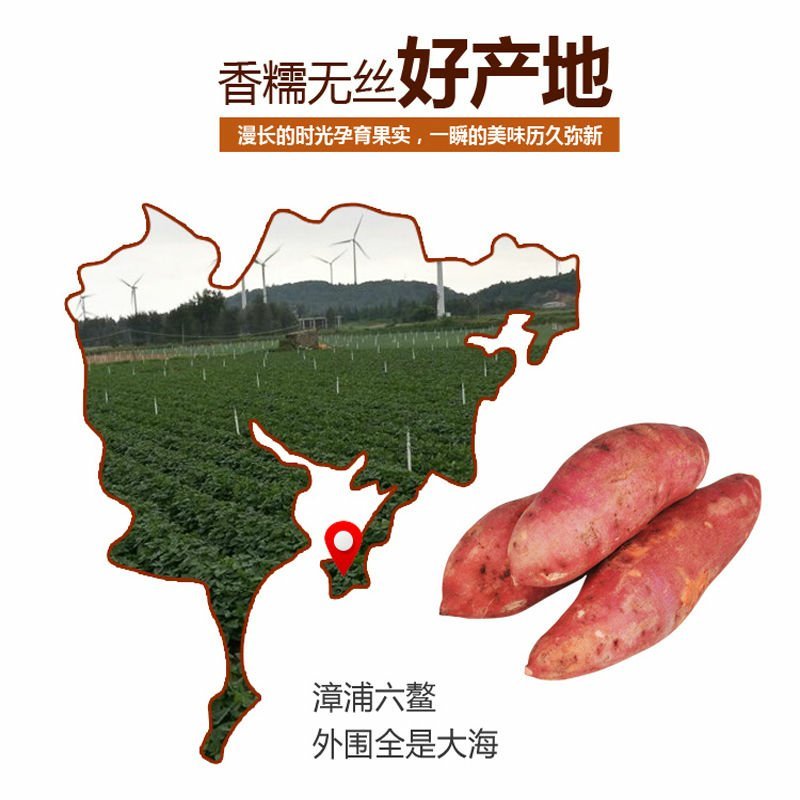 沙地地瓜六鳌西瓜红红薯新鲜蔬菜红心蜜薯番薯