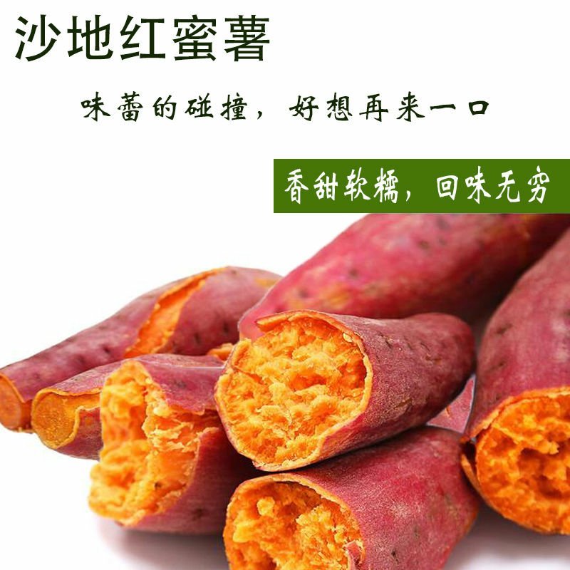 沙地地瓜六鳌西瓜红红薯新鲜蔬菜红心蜜薯番薯