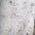 菌棒23*53
