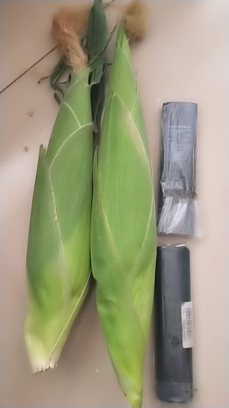 粘玉米