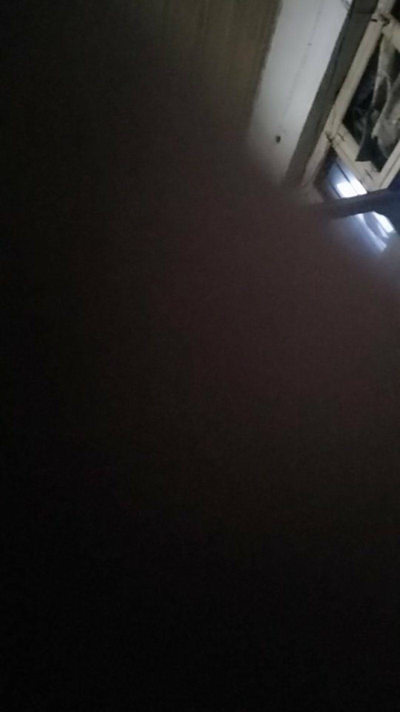 津美8-225公分以上干花带刺