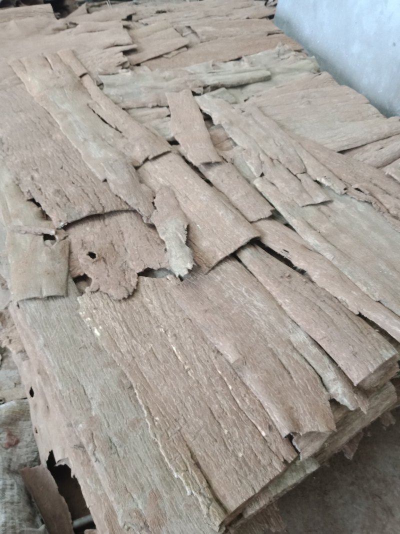 杜仲产地货源刮皮干净含量够可定做