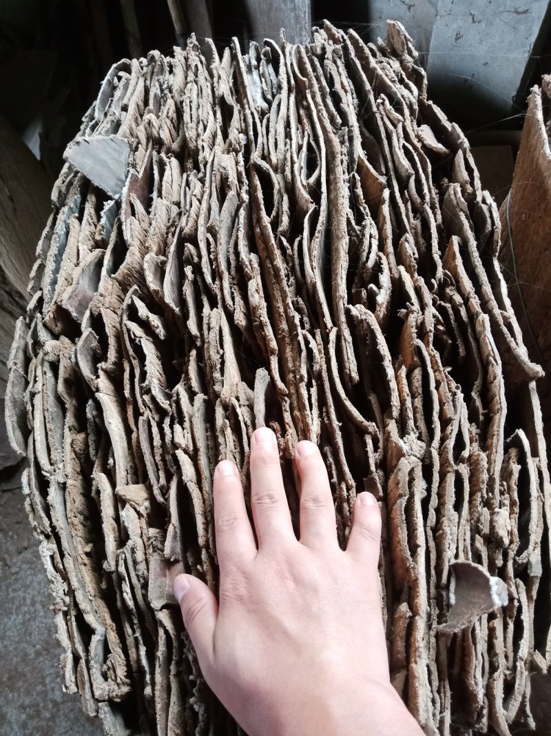 杜仲产地货源刮皮干净含量够可定做