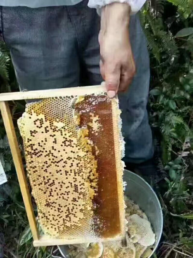 自家桃园野生蜂蜜正宗量大有需要的老板联系我，价格不是问题