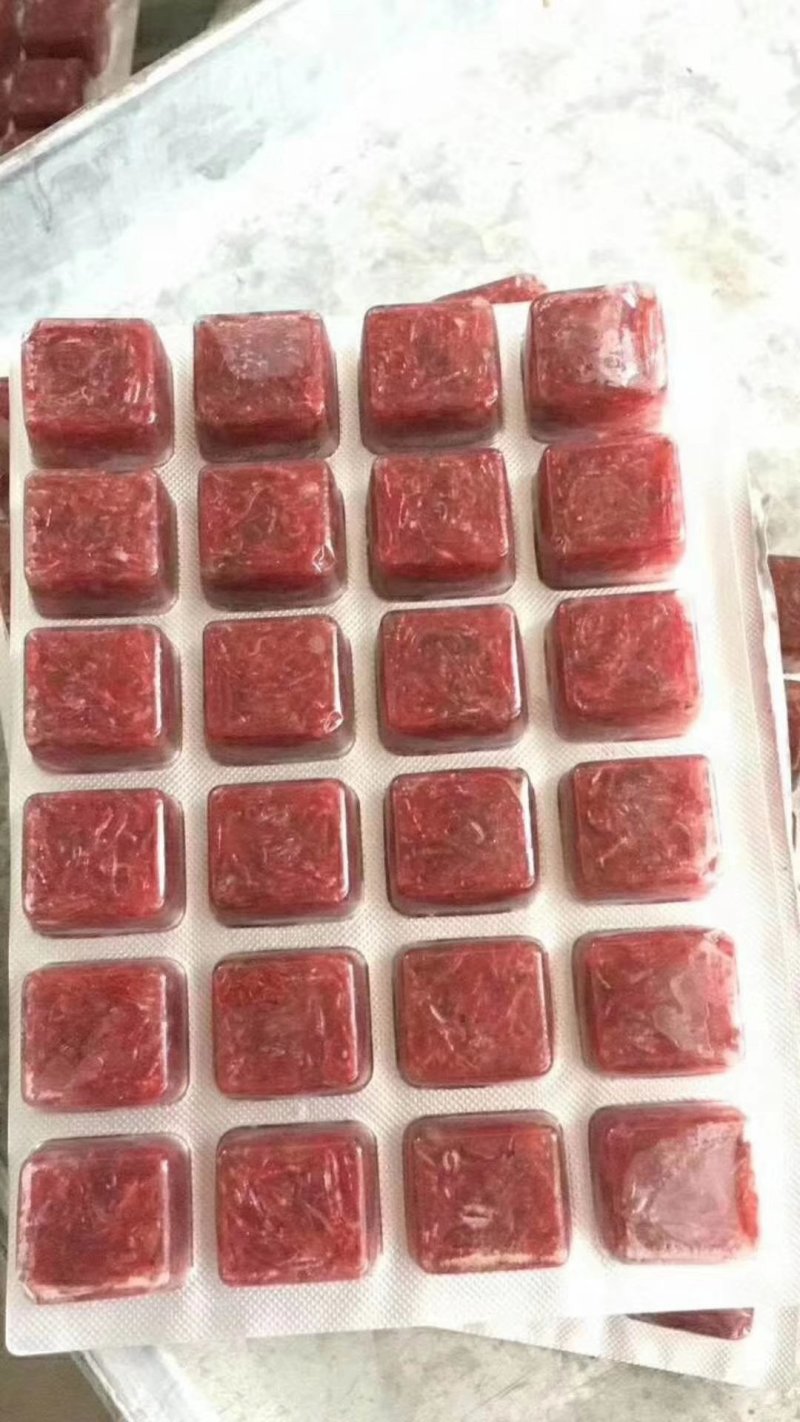 天津速冻新鲜大母虫观赏鱼红虫饲料鱼食
