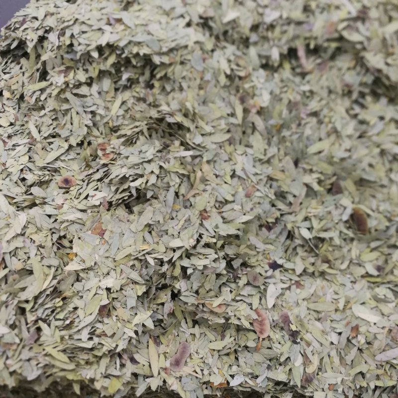 番泻叶中药材番泻叶大货批发一手货源