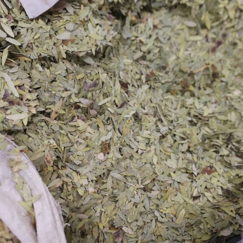 番泻叶中药材番泻叶大货批发一手货源