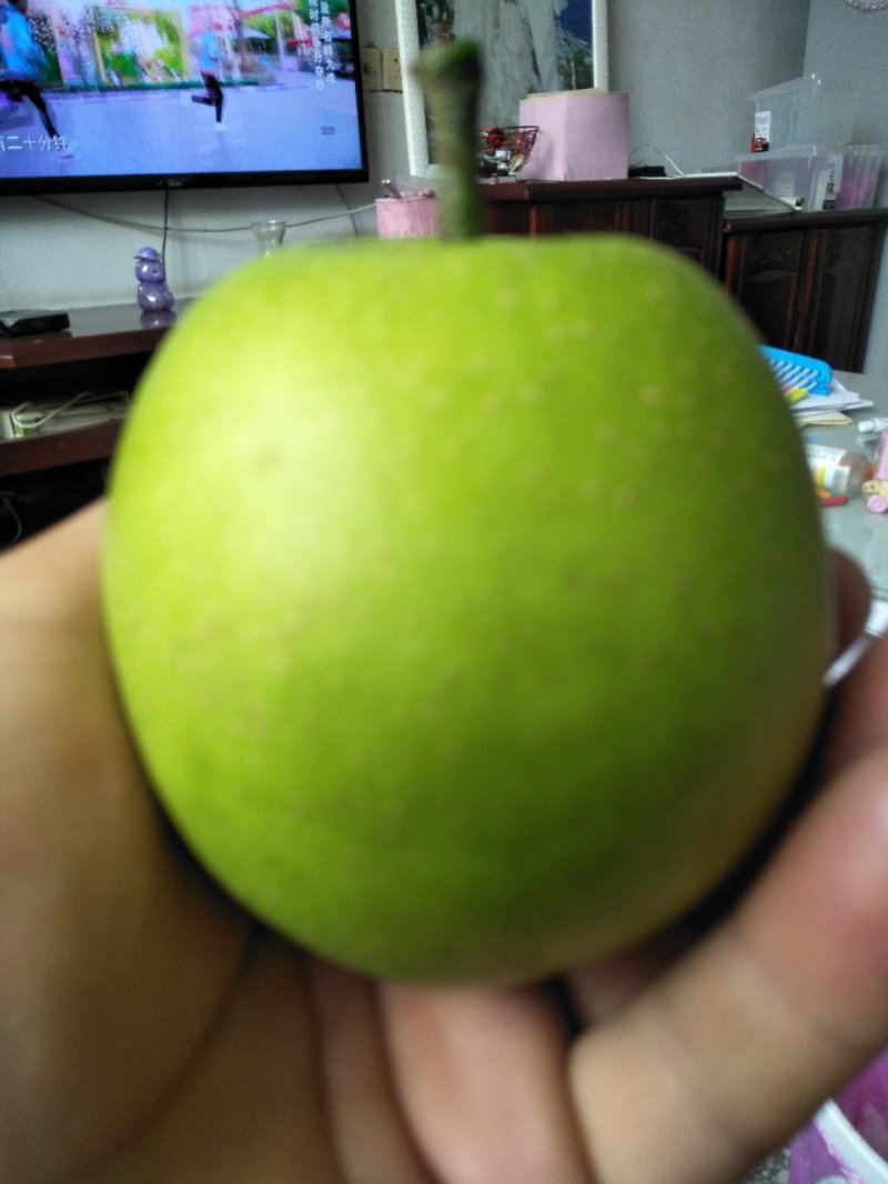 六两皇冠梨纸袋自然色