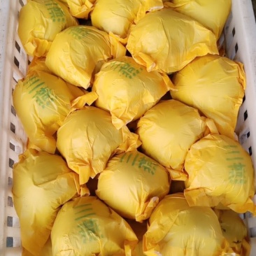 六两皇冠梨纸袋自然色
