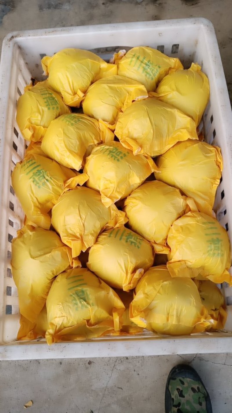 六两皇冠梨纸袋自然色