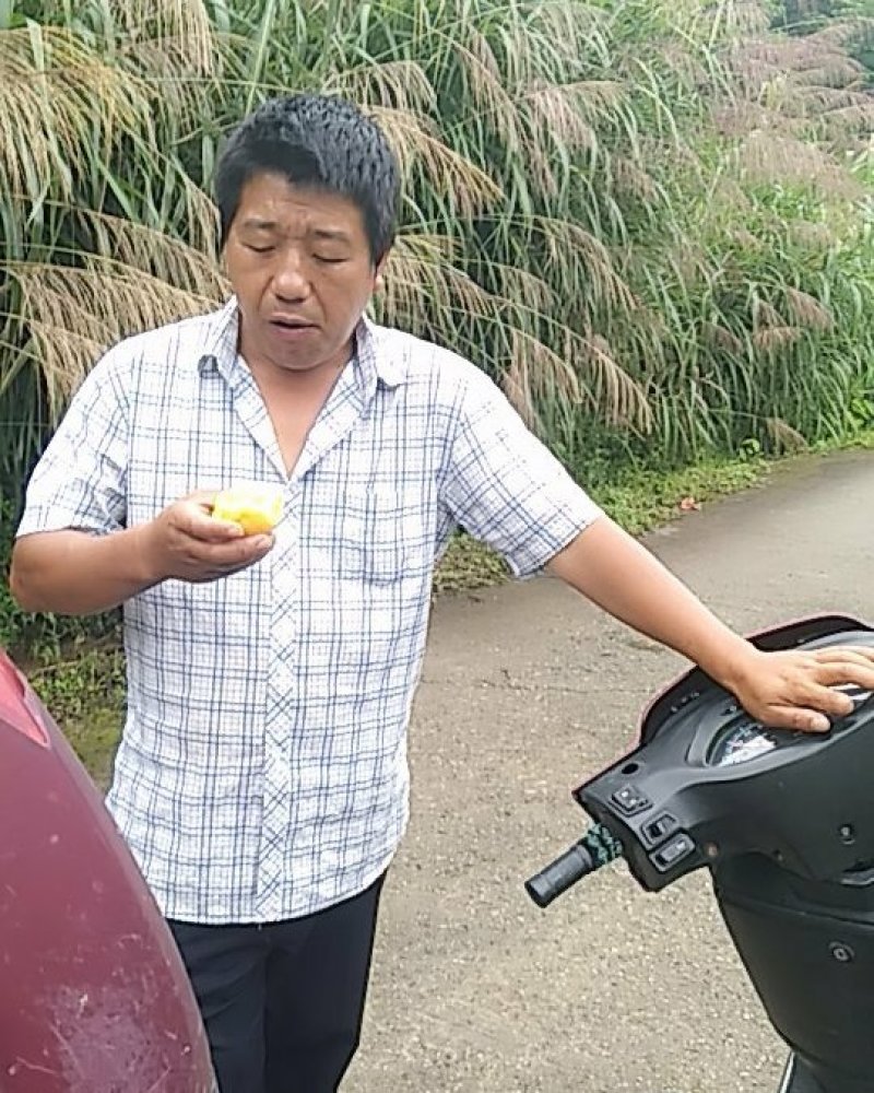 锦绣黄桃马上上市了
