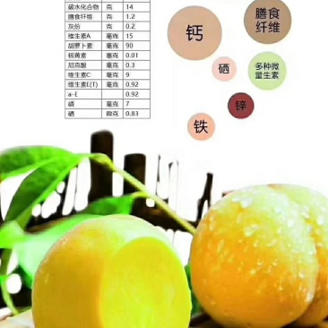 锦绣黄桃马上上市了