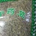 迷迭香干品药用干净无杂实拍图包邮