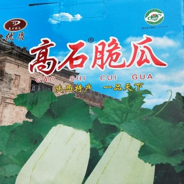 高石脆瓜，皮薄肉厚，汁液多，吃一口流一手。