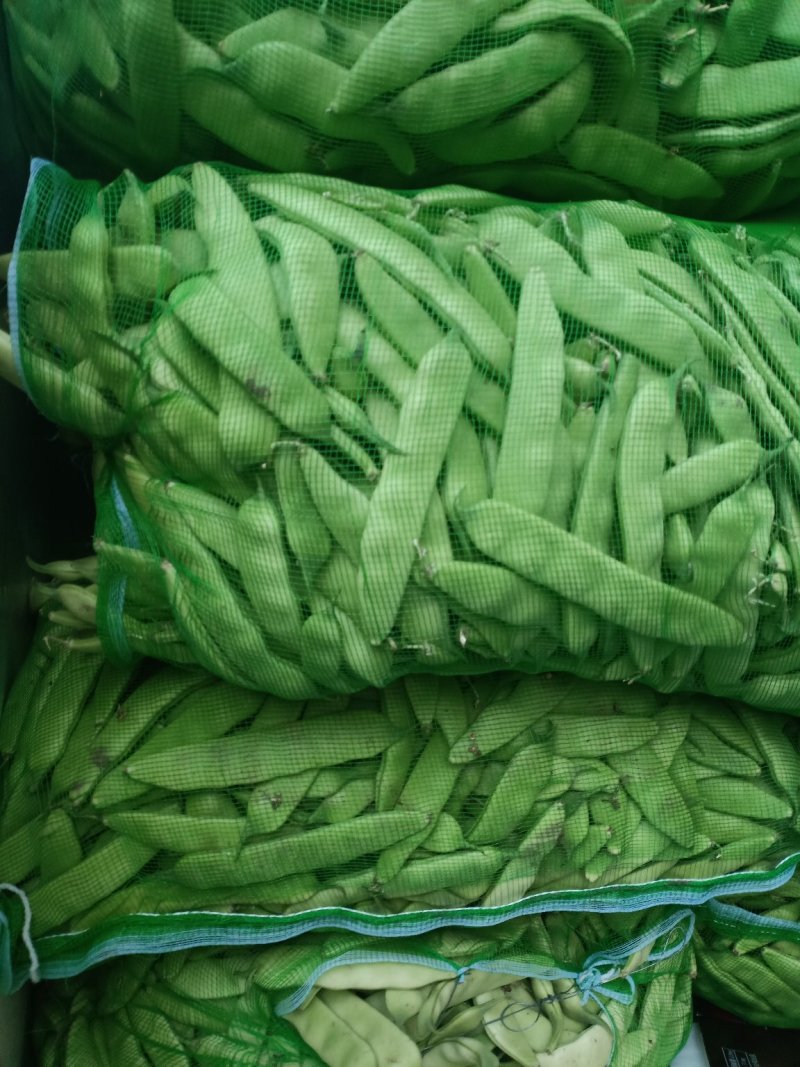 东北油豆角俗称大油豆