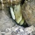 农家蜂蜜正宗野生土蜂蜜土蜂蜜罐装野生土蜂蜜