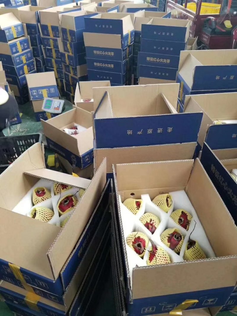 广西金都一号火龙果甜蜜秒杀