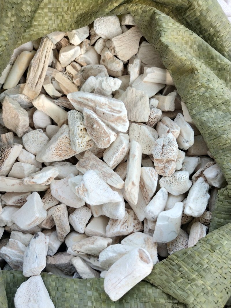 龙骨煅龙骨各种规正品龙骨包化验质量保证无条件退货
