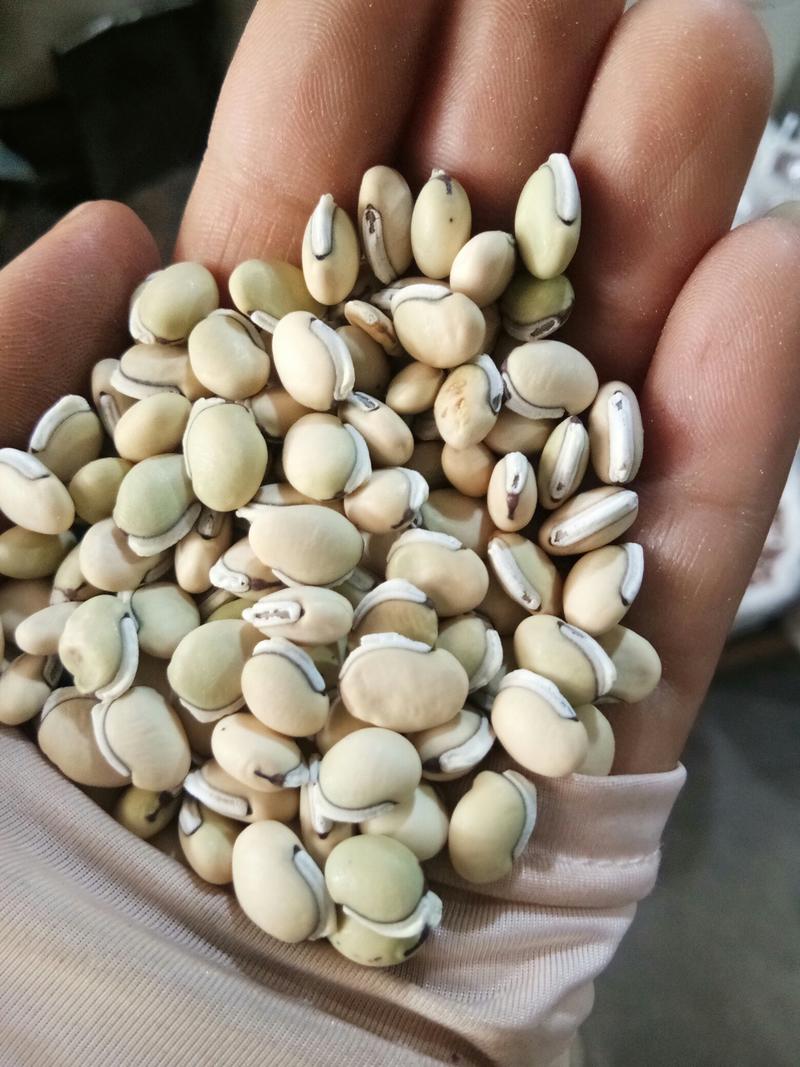 白扁豆国产颗粒饱满无杂质一公斤起发货