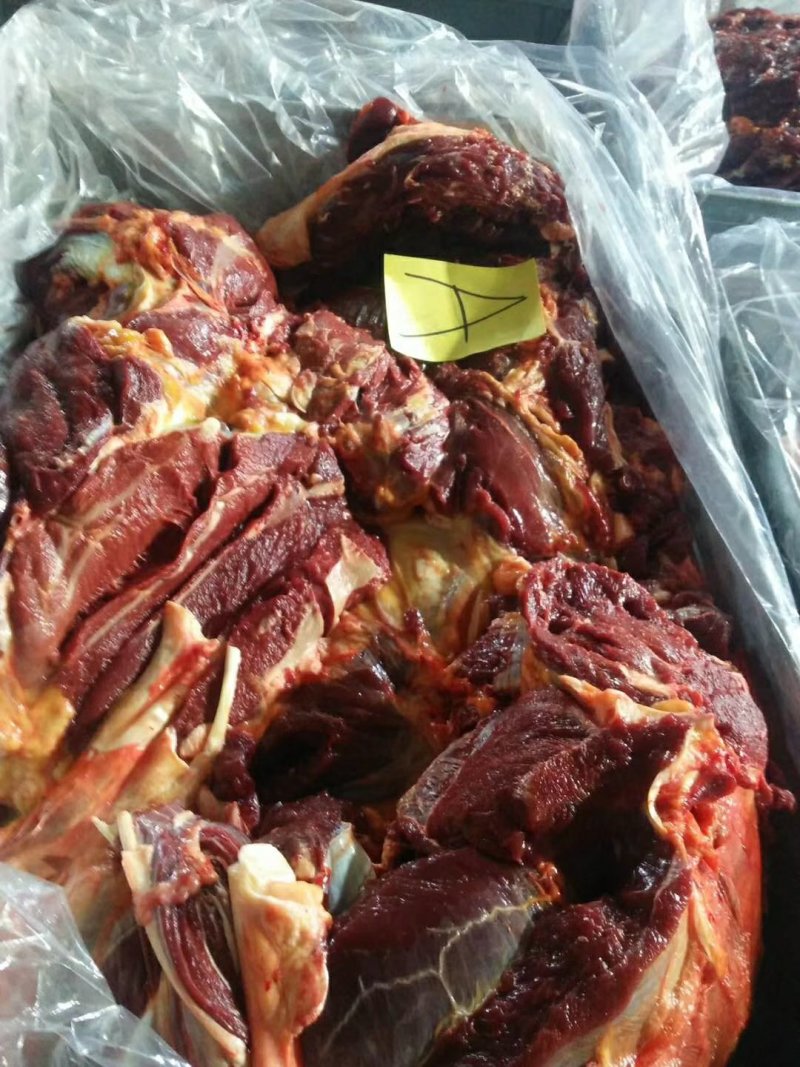 厂家直供马肉蒙古马肉