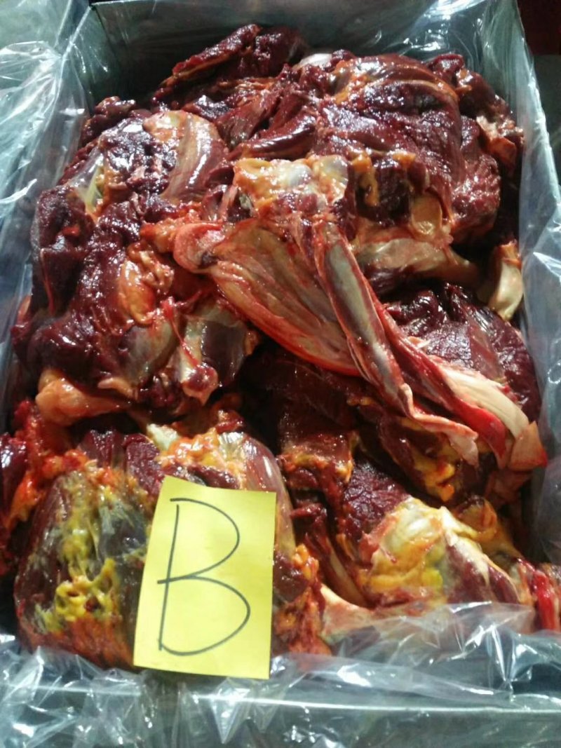 厂家直供马肉蒙古马肉