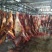 厂家直供马肉蒙古马肉