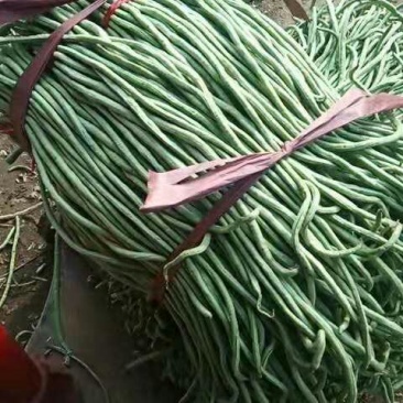 豆角，烘干豆角，干豆角丝。