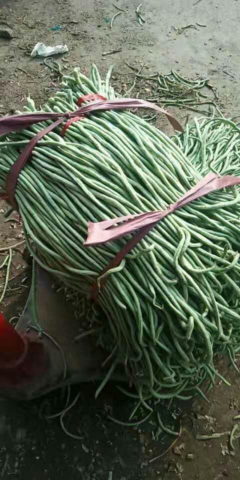 豆角，烘干豆角，干豆角丝。