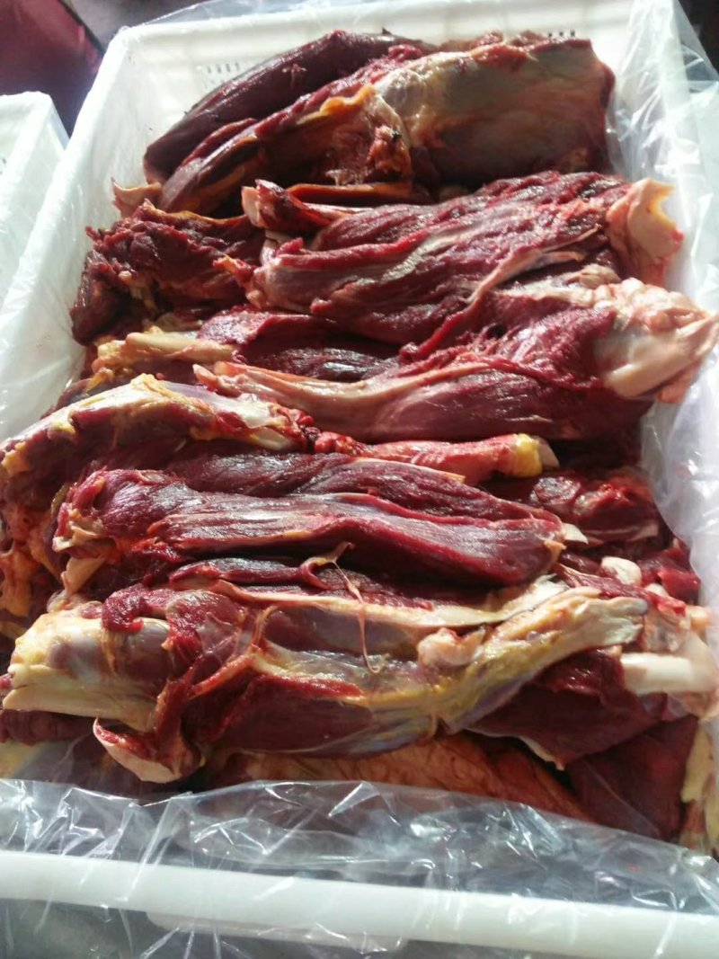 马肉马腱子肉