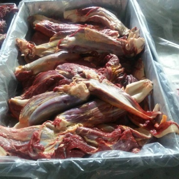 马肉马腱子肉