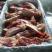 马肉马腱子肉