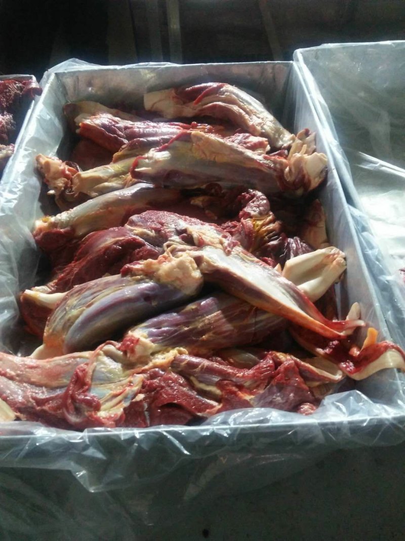 马肉马腱子肉
