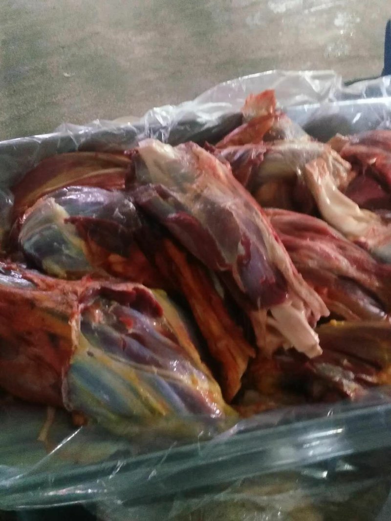 马肉马腱子肉