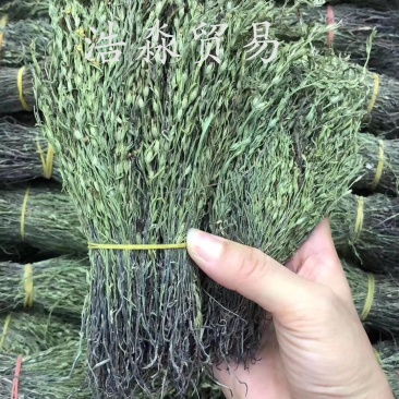 独脚金云南干货250克起包邮