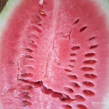 大西瓜