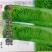 青麻叶白菜种子青口白白菜种子