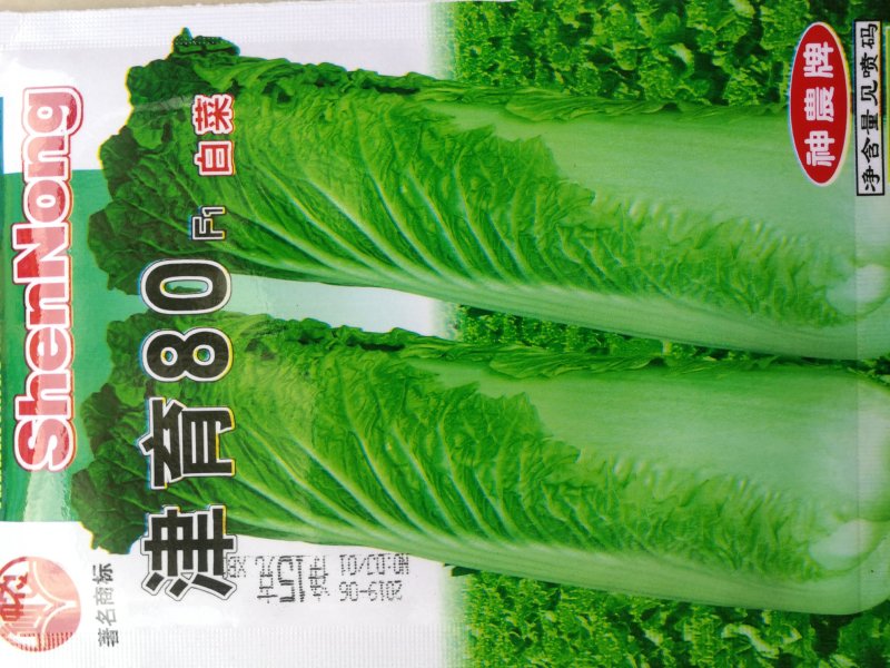 青麻叶白菜种子青口白白菜种子